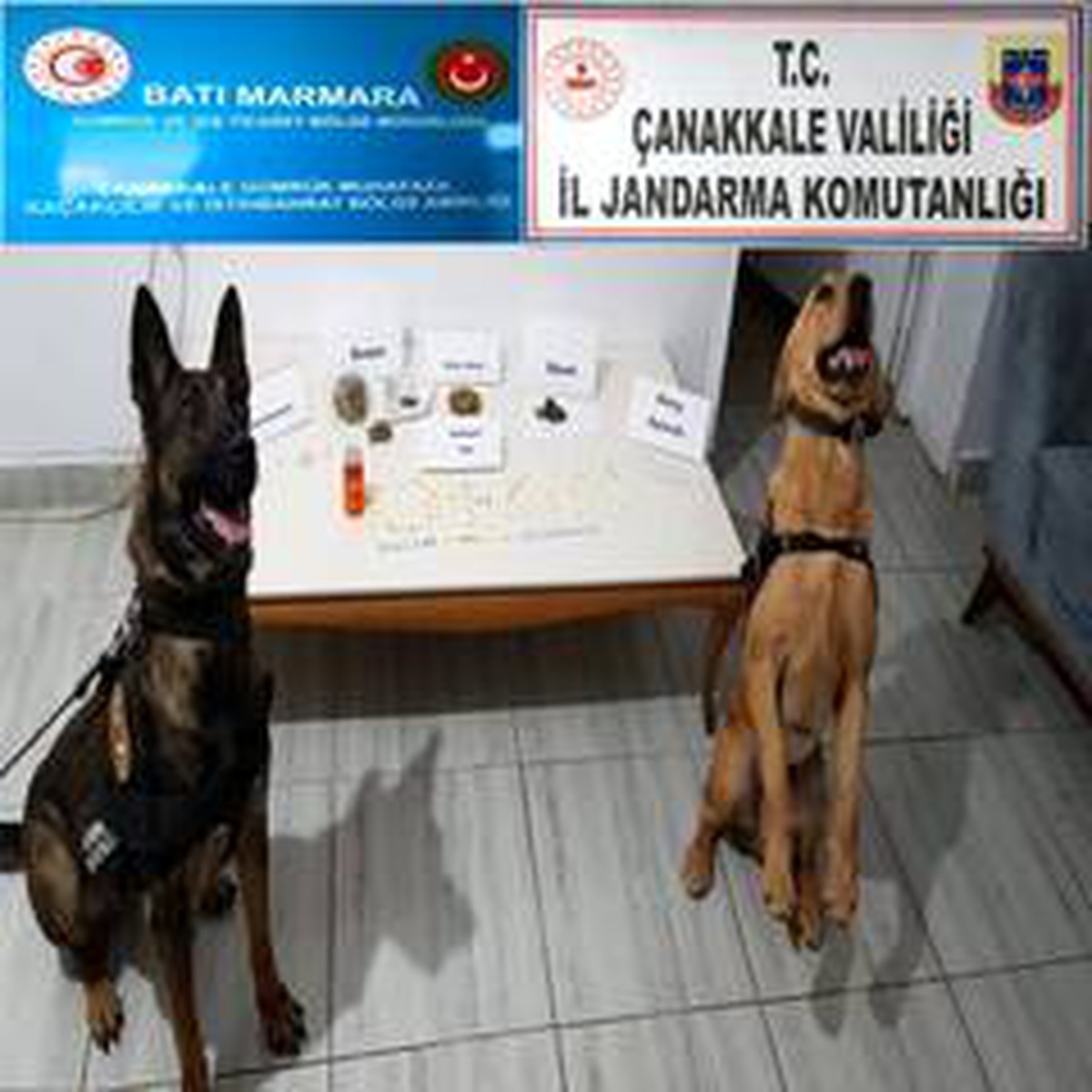 Çanakkale\'de uyuşturucu operasyonu: 4 gözaltı