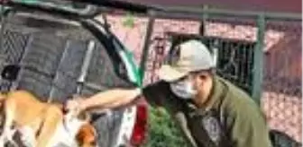 Çekmeköy'de sahibinin şiddet uyguladığı köpek koruma altına alındı