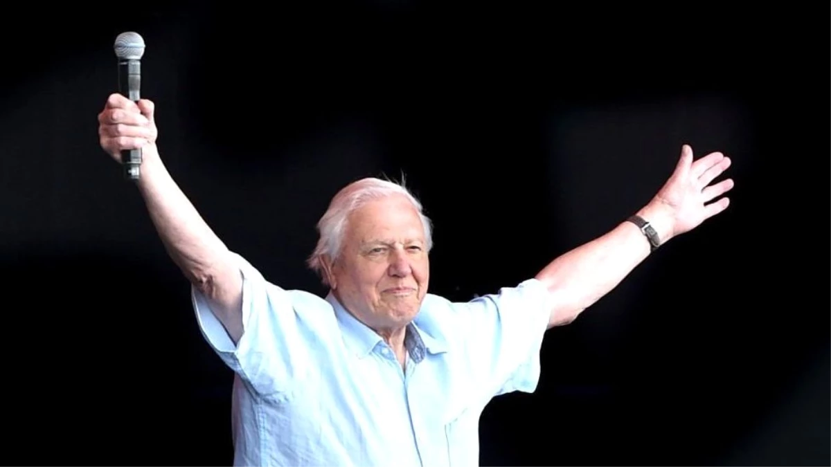 David Attenborough: Instagrama \'hızlı\' giriş yapan 94 yaşındaki çevreci ve belgesel yapımcısı...