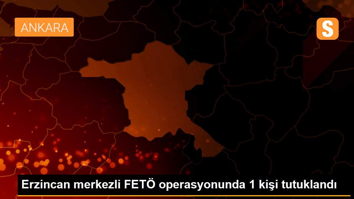 Erzincan merkezli FETÖ operasyonunda 1 kişi tutuklandı