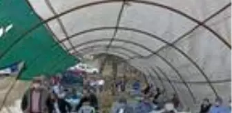 Karabük'te düğünde tedbirleri ihlal edenlere 25 bin TL ceza