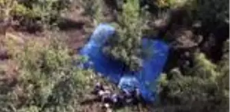 'Marmara'nın ceviz ambarı'nda hasat mesaisi başladı