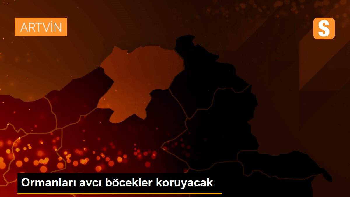 Ormanları avcı böcekler koruyacak
