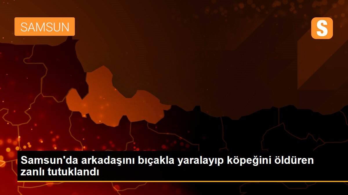 Samsun\'da arkadaşını bıçakla yaralayıp köpeğini öldüren zanlı tutuklandı