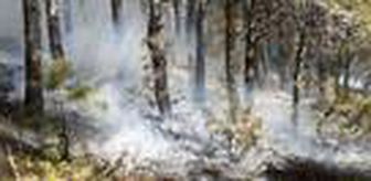 Savaştepe'deki orman yangını büyümeden söndürüldü