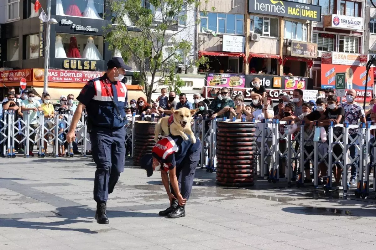 Son dakika haberleri! Arama-kurtarma operasyonlarının vazgeçilmezleri hünerlerini sergiledi