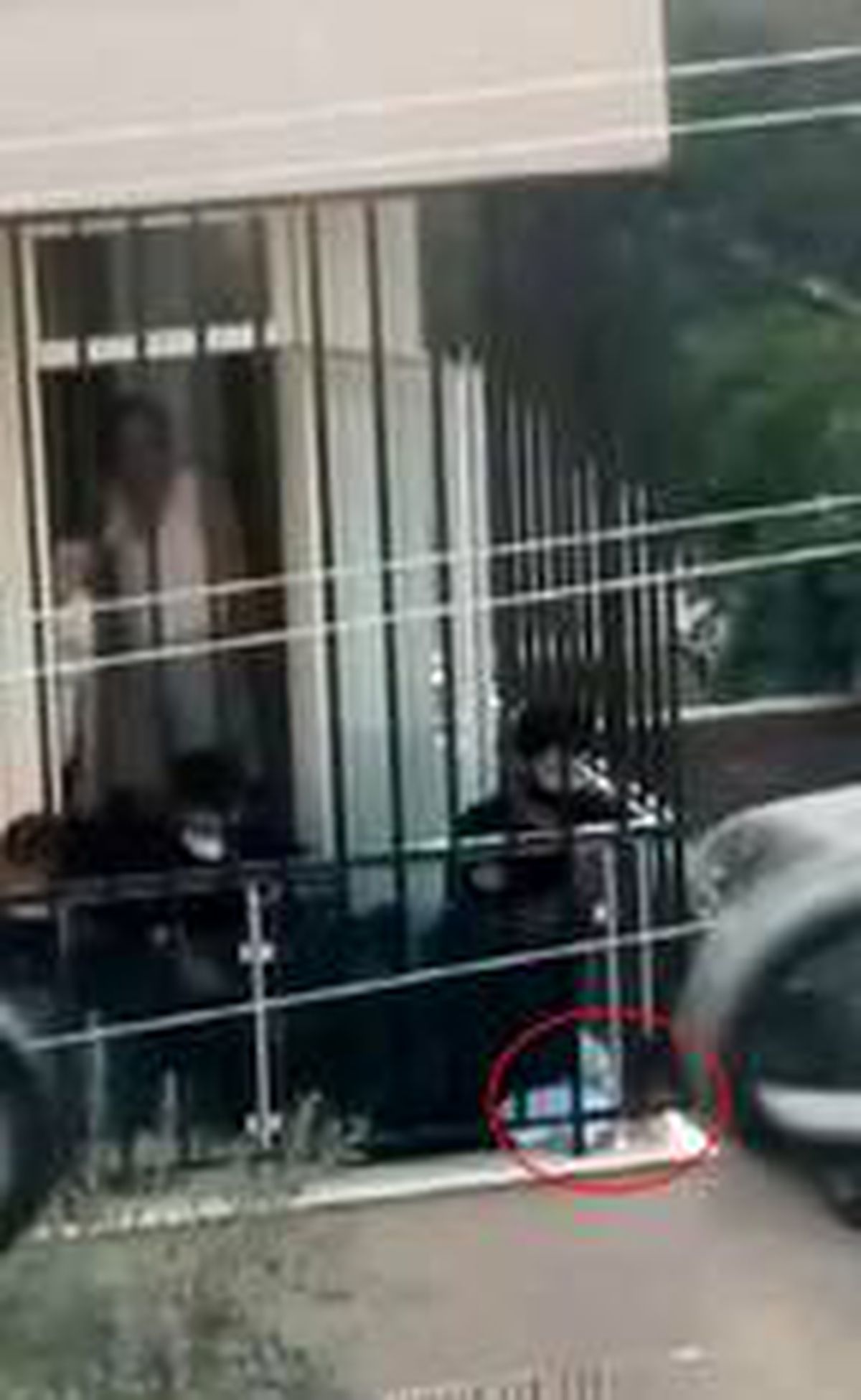Son Dakika | Başı balkon demirine sıkışan çocuğu itfaiye kurtardı