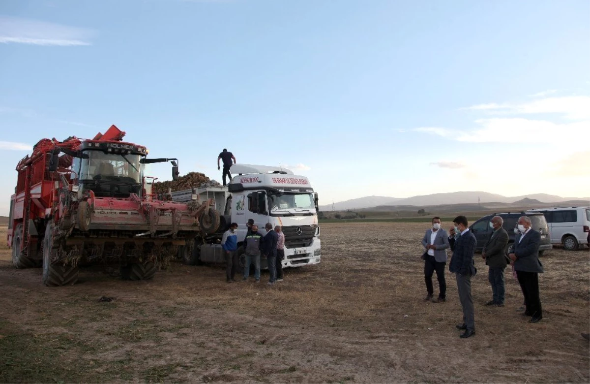 Bitlis\'te 160 bin ton şeker pancarı hasadı bekleniyor