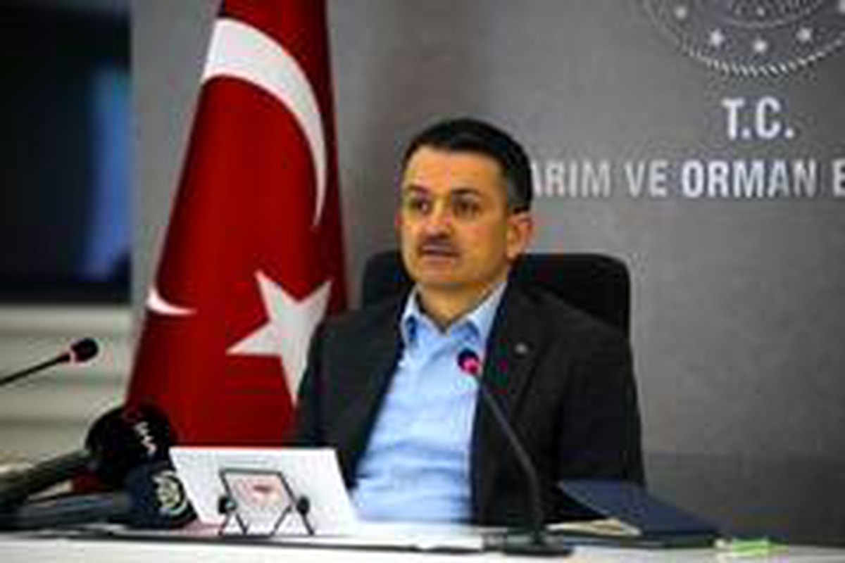 "Onlar da can taşıyorlar ve bu dünyada bizim kadar yaşama hakkına sahipler"