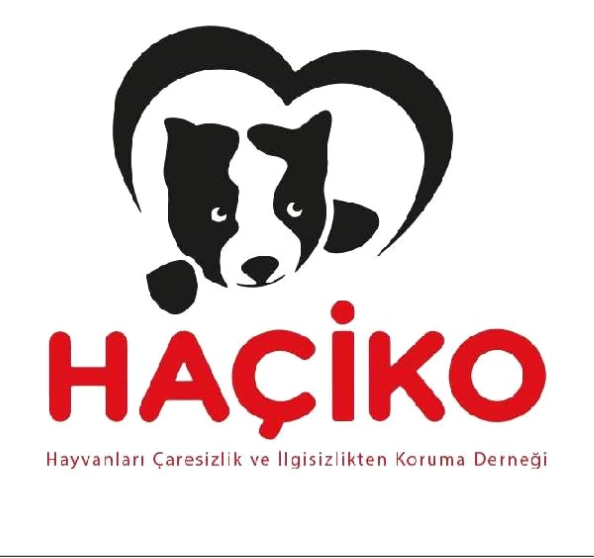 Hepsiburada ve HAÇİKO iş birliğiyle hayvanlar için mama bağışı kampanyası
