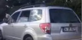 Son dakika haberleri | Sürücü ile köpeğinin tehlikeli yolculuğu kamerada