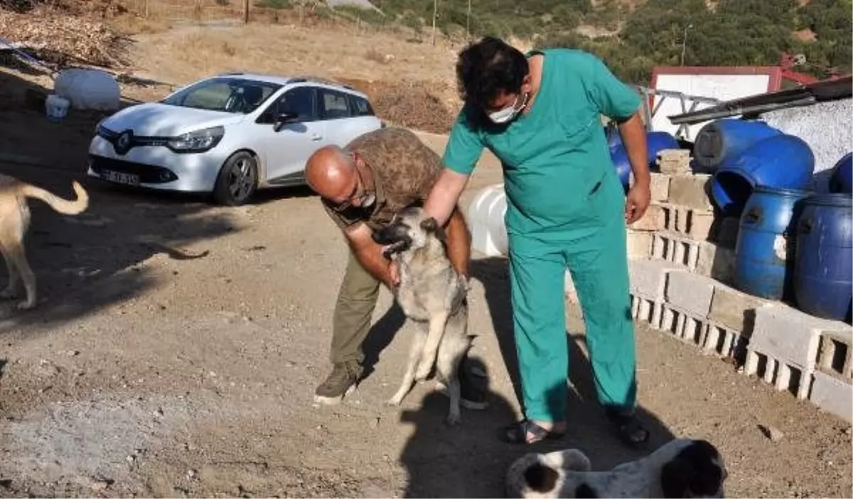 3 ayaklı dünyaya gelen köpek, korumaya alındı