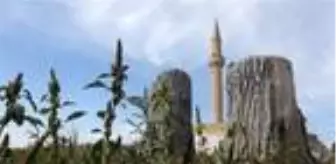 Son dakika haberleri! Barajda su seviyesi düşünce köy ortaya çıktı