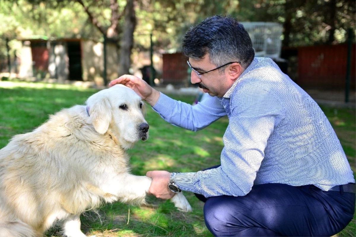 Başkan Yılmaz, \'can dostları\' sahiplendirdi