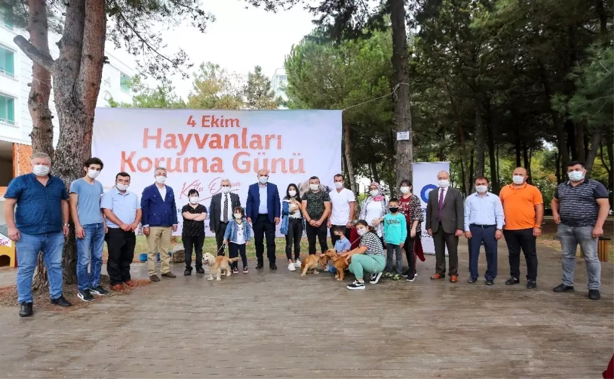 Canik Belediyesi\'nden hayvan hakları etkinliği