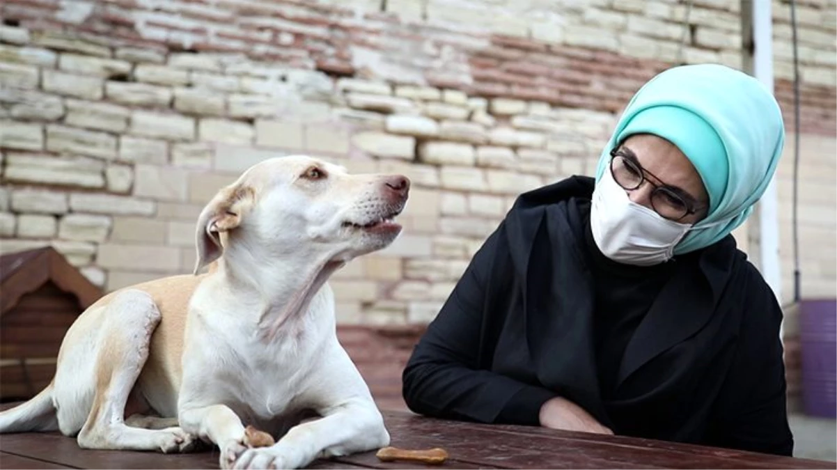 Emine Erdoğan, barınaktaki \'Leblebi\' isimli engelli köpeği sahiplendi