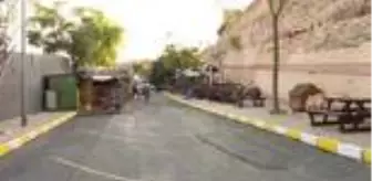 Son dakika haberi! Emine Erdoğan, 'Leblebi' isimli engelli köpeği sahiplendi