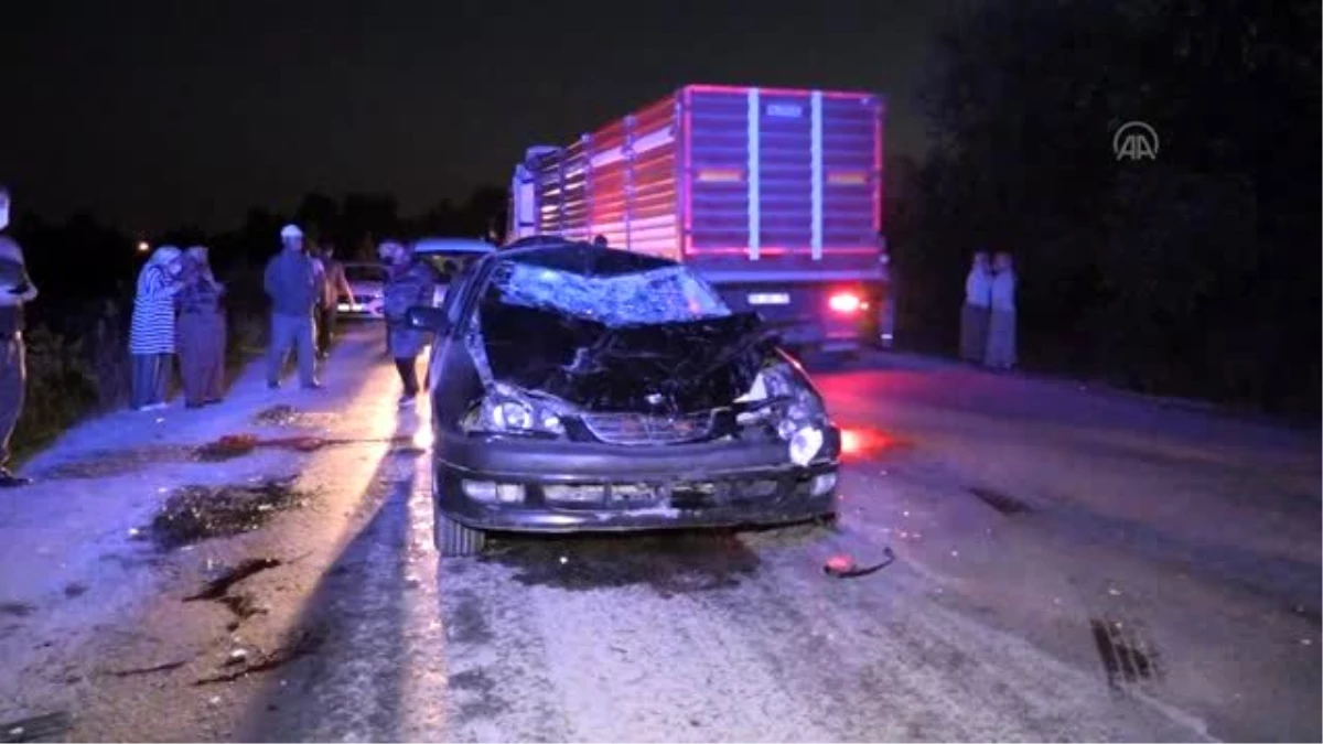 İneklere çarpan otomobildeki iki kişi yaralandı