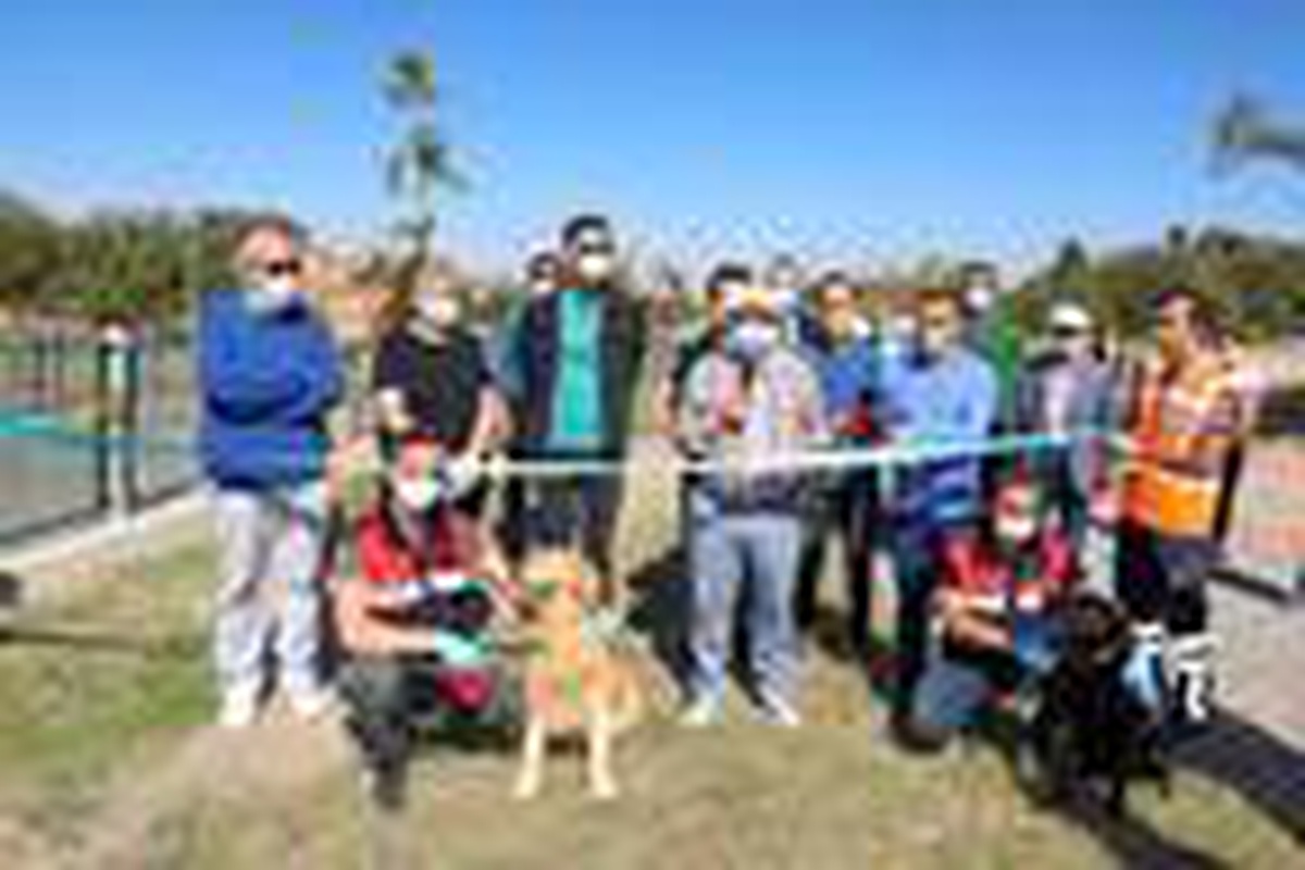Kayseri\'de köpekler için \'Pati Yolu\'