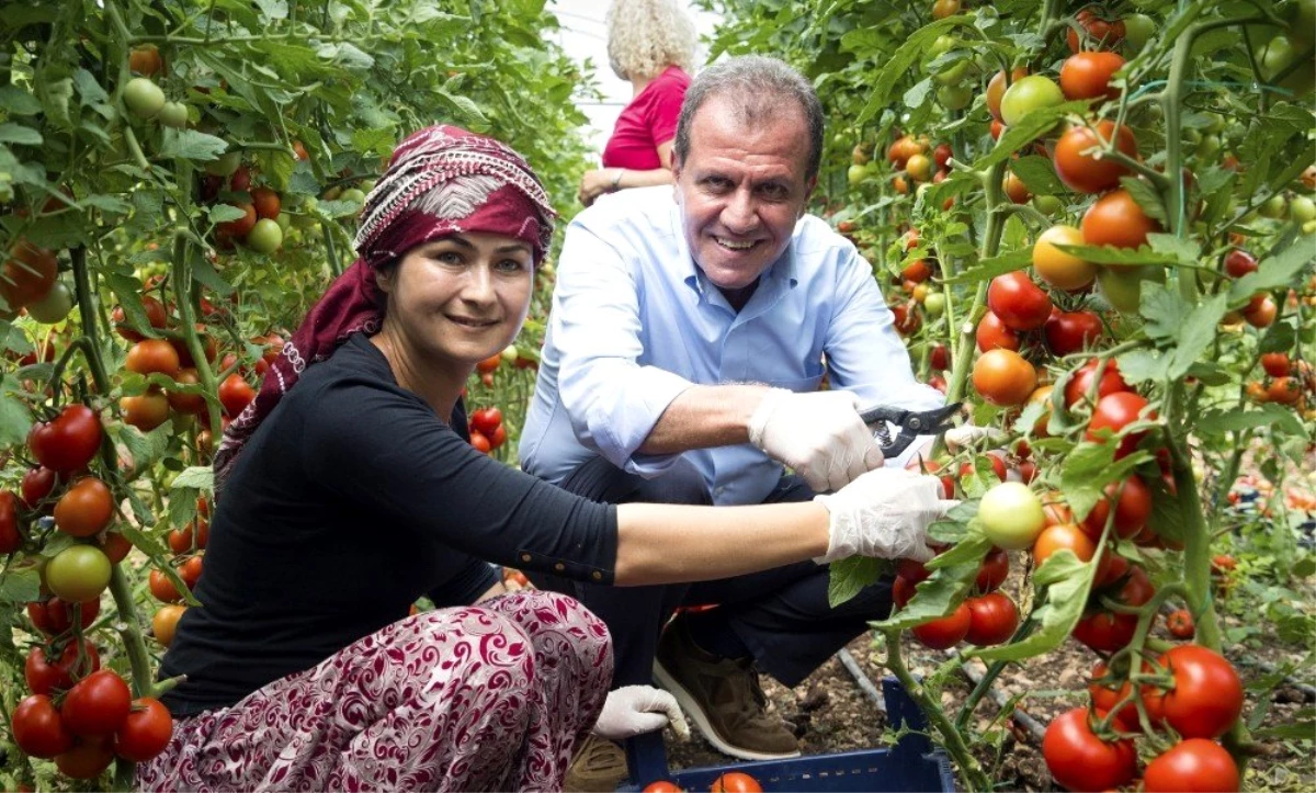 Mersin\'de tarım kalkınıyor, üretici kazanıyor