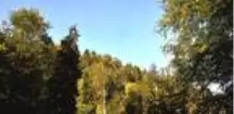 Örümcek Ormanları'nda sonbahar güzelliği