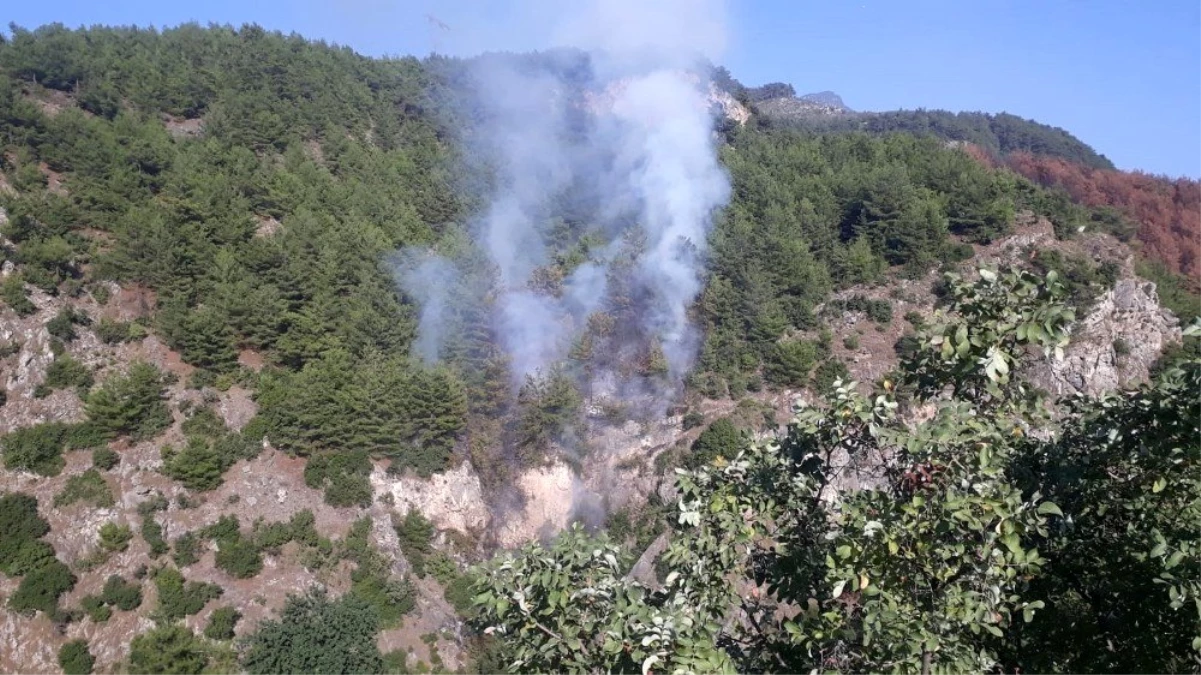Payas\'taki orman yangınında 1 hektar alan zarar gördü
