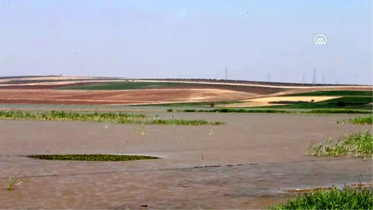 Reyhanlı Barajı, Amik Ovası\'ndaki tarım arazilerine bereket katacak