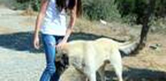 DHA YURT BÜLTENİ -8