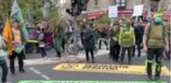 Almanya'da çevreciler ormanların korunması için protesto düzenledi