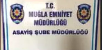 Arkadaşlık sitesine üye yapma vaadiyle dolandırıcılığa 6 gözaltı