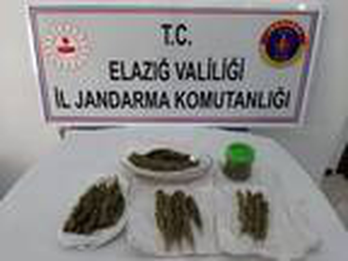 Elazığ\'da uyuşturucu ticaretine gözaltı