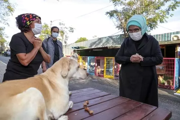 Son dakika haberleri... EMİNE ERDOĞAN'IN ENGELLİ KÖPEK 'LEBLEBİ'Yİ SAHİPLENMESİNİN ARDINDAN BARINAĞA İLGİ ARTTI