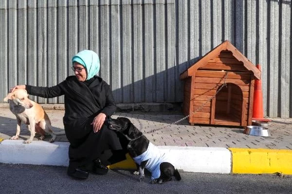 Son dakika haberleri... EMİNE ERDOĞAN'IN ENGELLİ KÖPEK 'LEBLEBİ'Yİ SAHİPLENMESİNİN ARDINDAN BARINAĞA İLGİ ARTTI