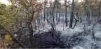 Son Dakika | Ermenek'te, evde çıkan yangın ormana sıçradı (2)