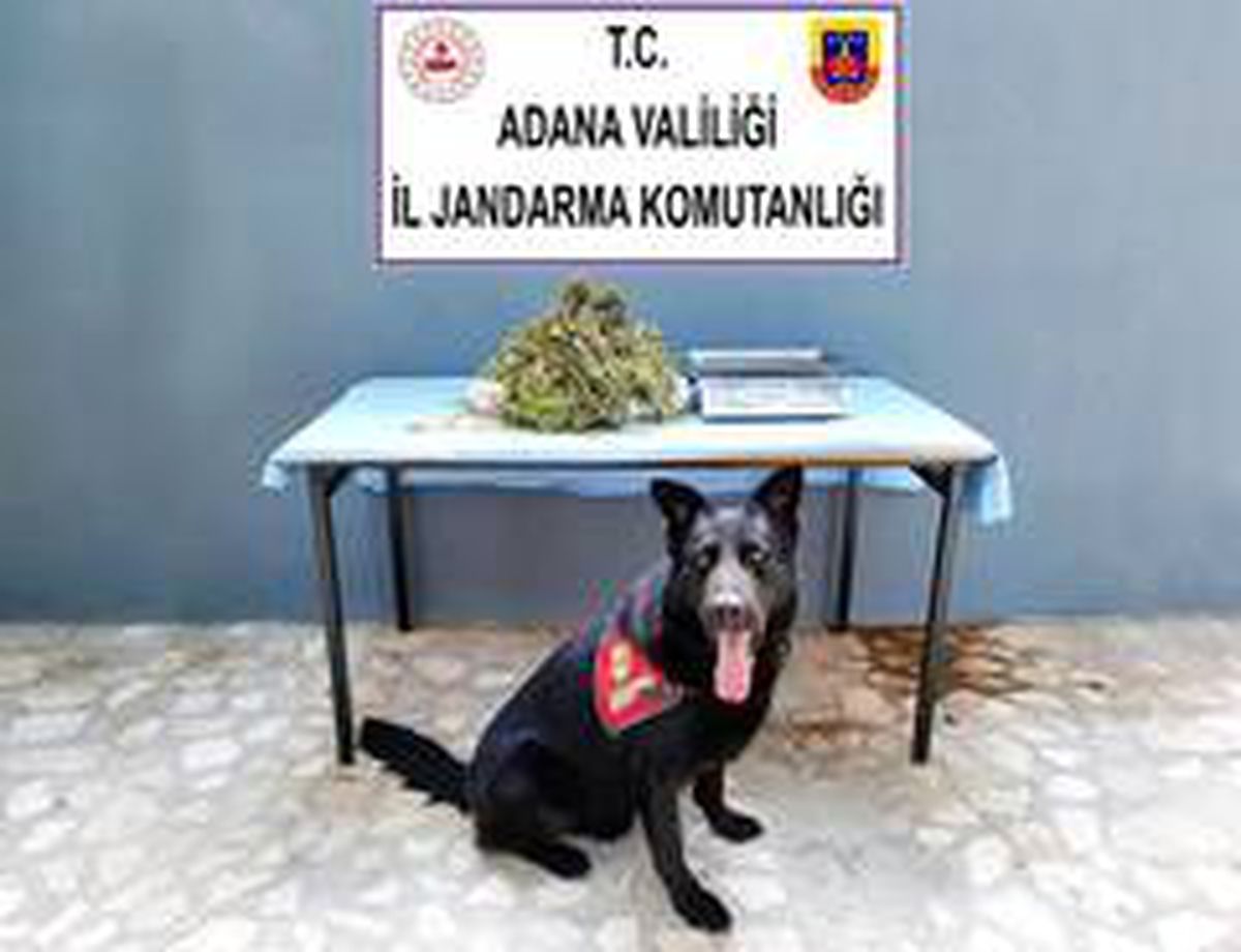 Feke\'de uyuşturucu operasyonu