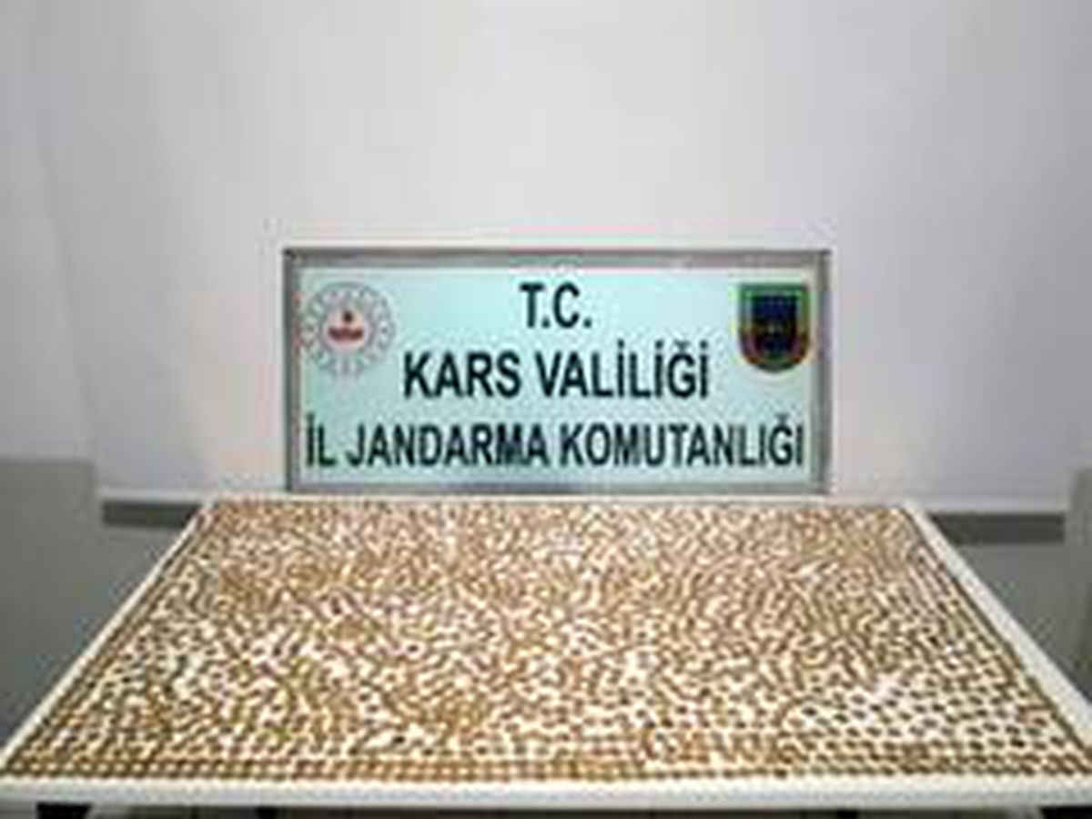 Kars\'ta bin 955 sikke ele geçirildi