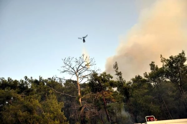 Kemer'de yerleşim yeri yakınındaki orman yangını  2 saatte söndürüldü