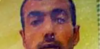 Köpeklerin bulduğu kafatasının kayıp boya ustasına ait olduğu belirlendi