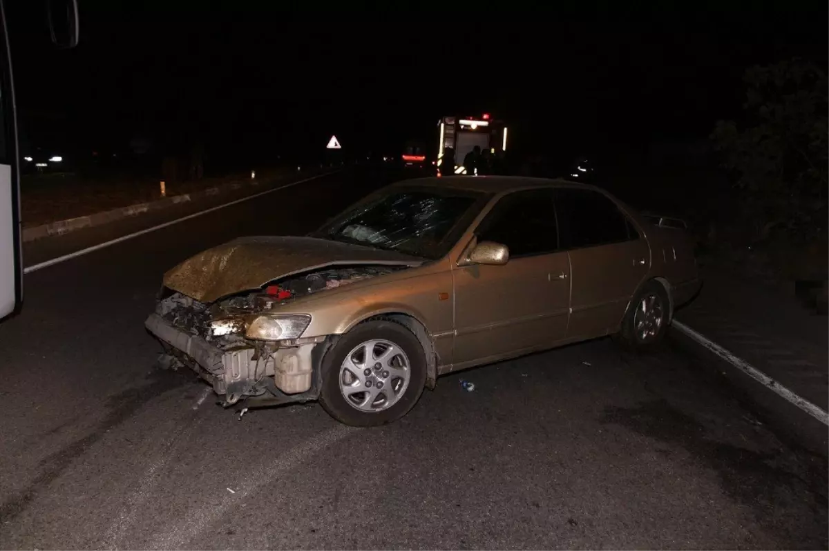 Otomobiller karayolundaki koyun sürüsüne daldı; 7 yaralı