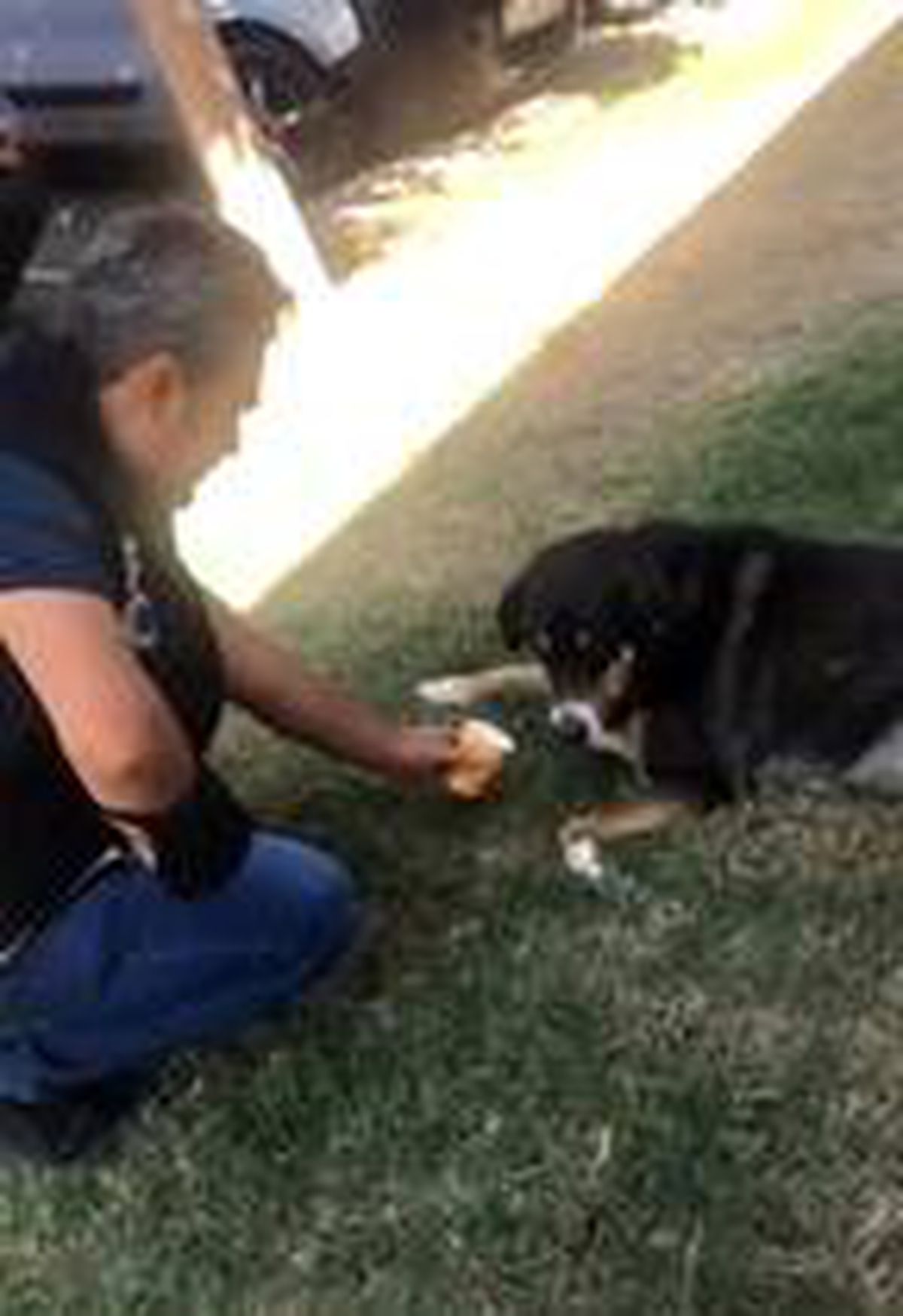 Polis memuru, sıcak havada sokak köpeğine su içirdi