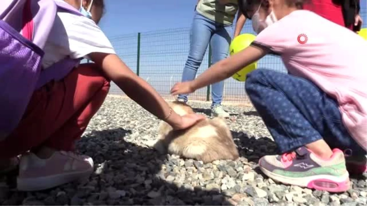 Son dakika haberleri: Siirtli çocuklara hayvan sevgisi anlatıldı