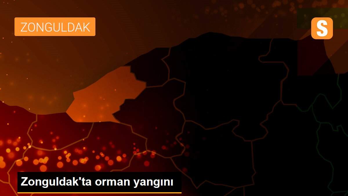 Zonguldak\'ta orman yangını