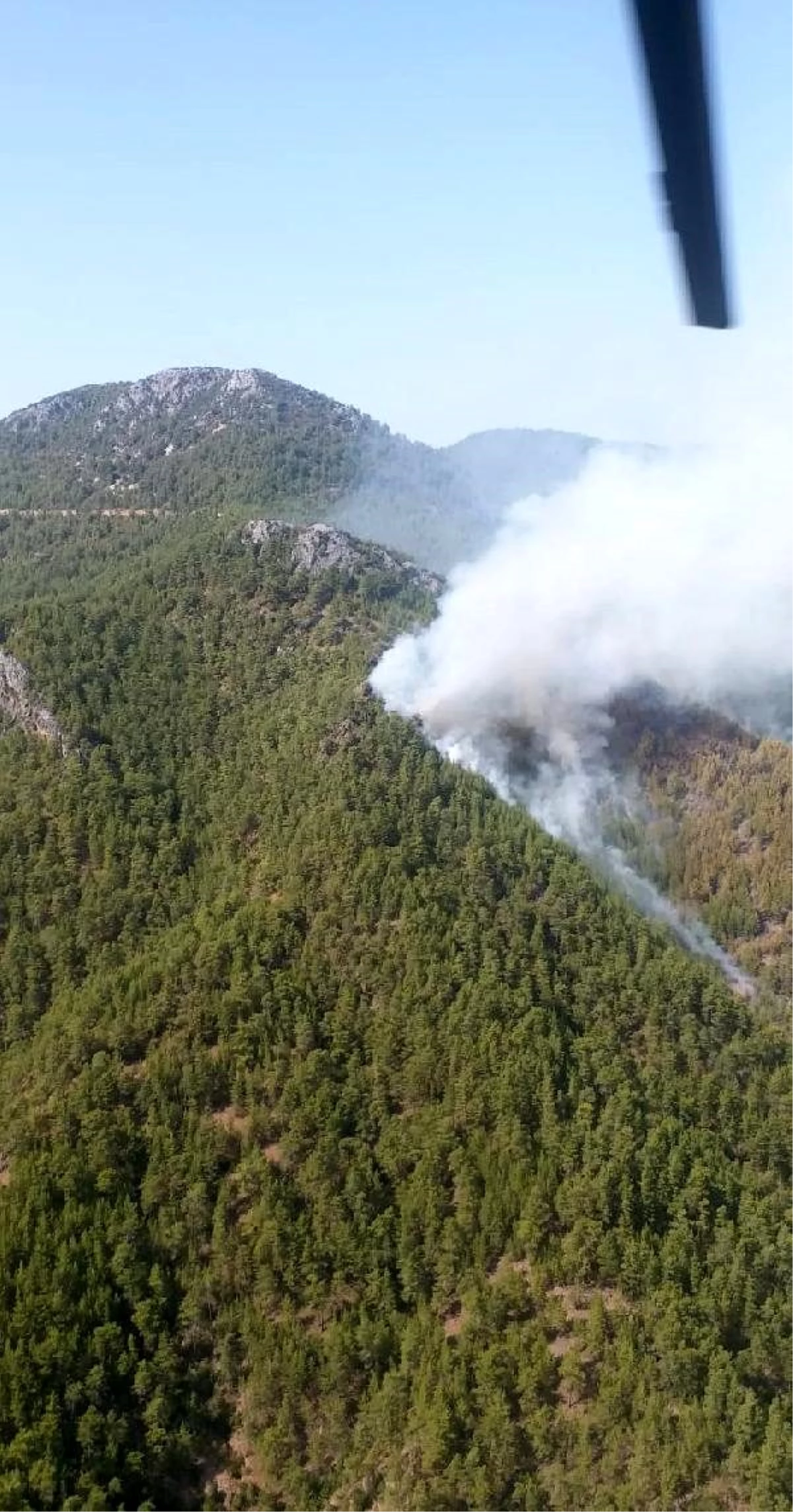 Son dakika haberleri! Antalya\'da orman yangını