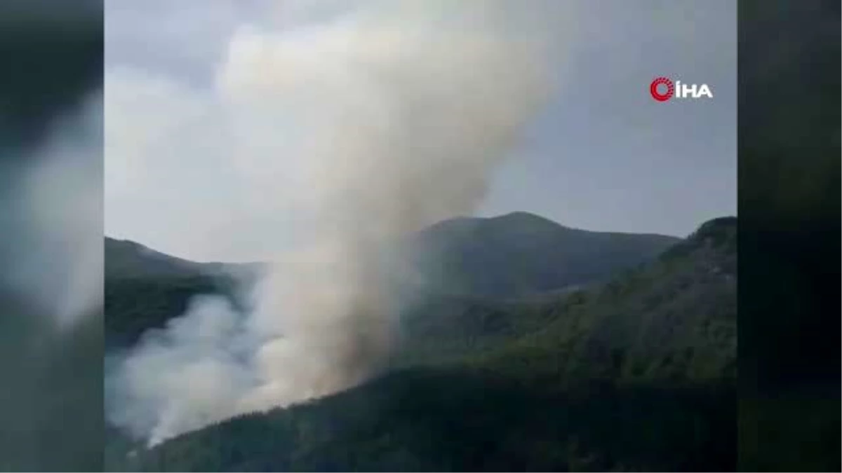Antalya\'daki yangında 10 hektarlık orman yandı