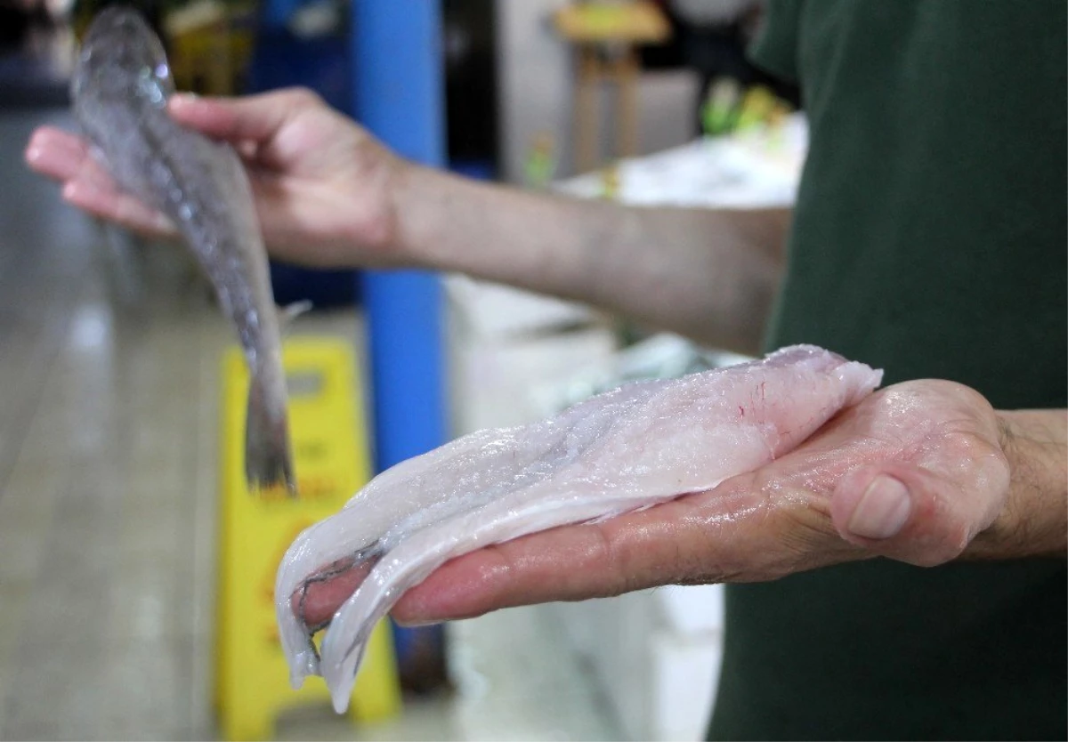 Balon balığı etinin fileto gibi satıldığı iddiası