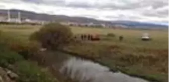 Bataklığa saplanan inek, paletli iş makinesiyle kurtarıldı