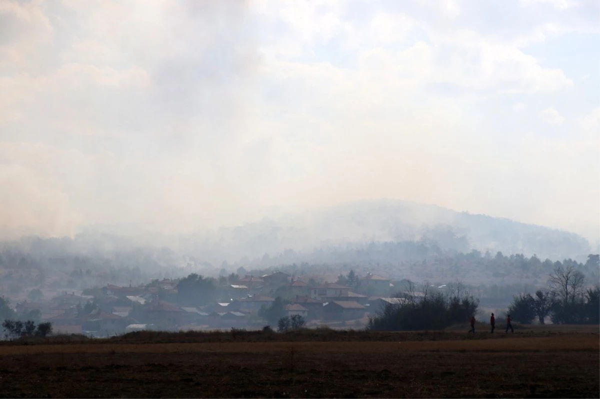 Bolu\'da yangında zarar gören 40 hektarlık alan ağaçlandırılacak