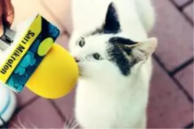 Hobi olarak başlamıştı şimdi milyar izlenmeye sahip