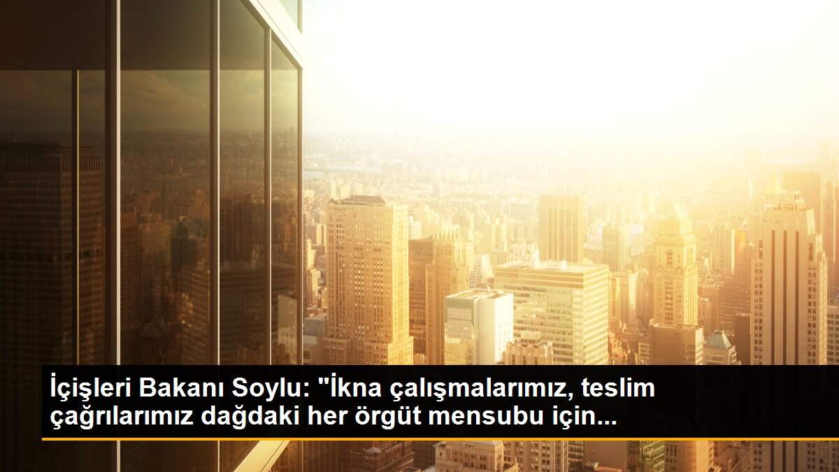 İçişleri Bakanı Soylu: "İkna çalışmalarımız, teslim çağrılarımız dağdaki her örgüt mensubu için...
