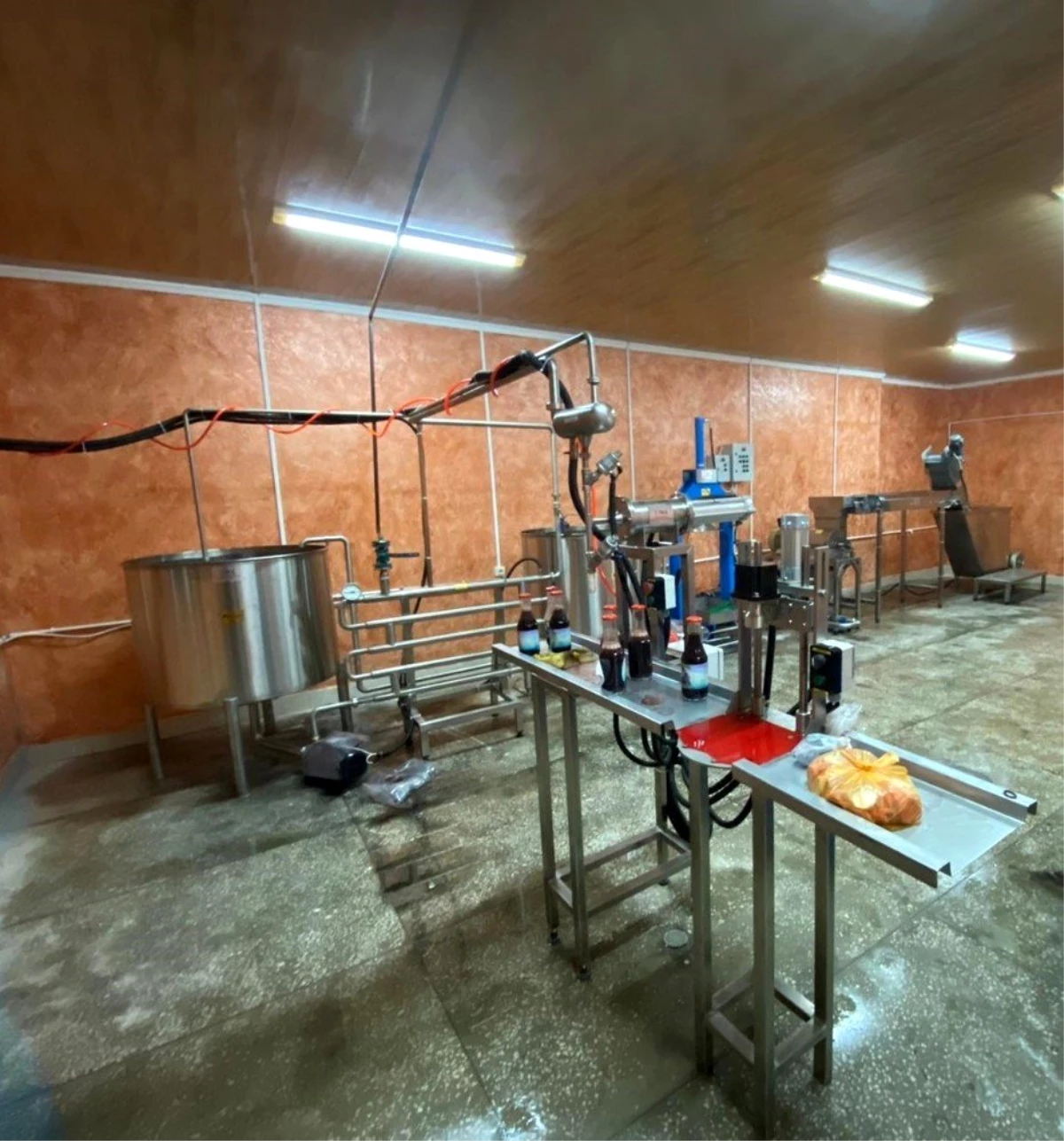 TİKA Gürcistan\'da organik meyve suyu üretim tesisi kurdu